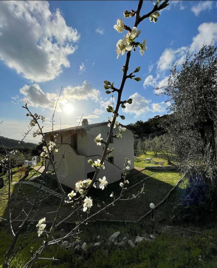 Agriturismo Il Sorbo Appartamento Menta Sticciano Zewnętrze zdjęcie